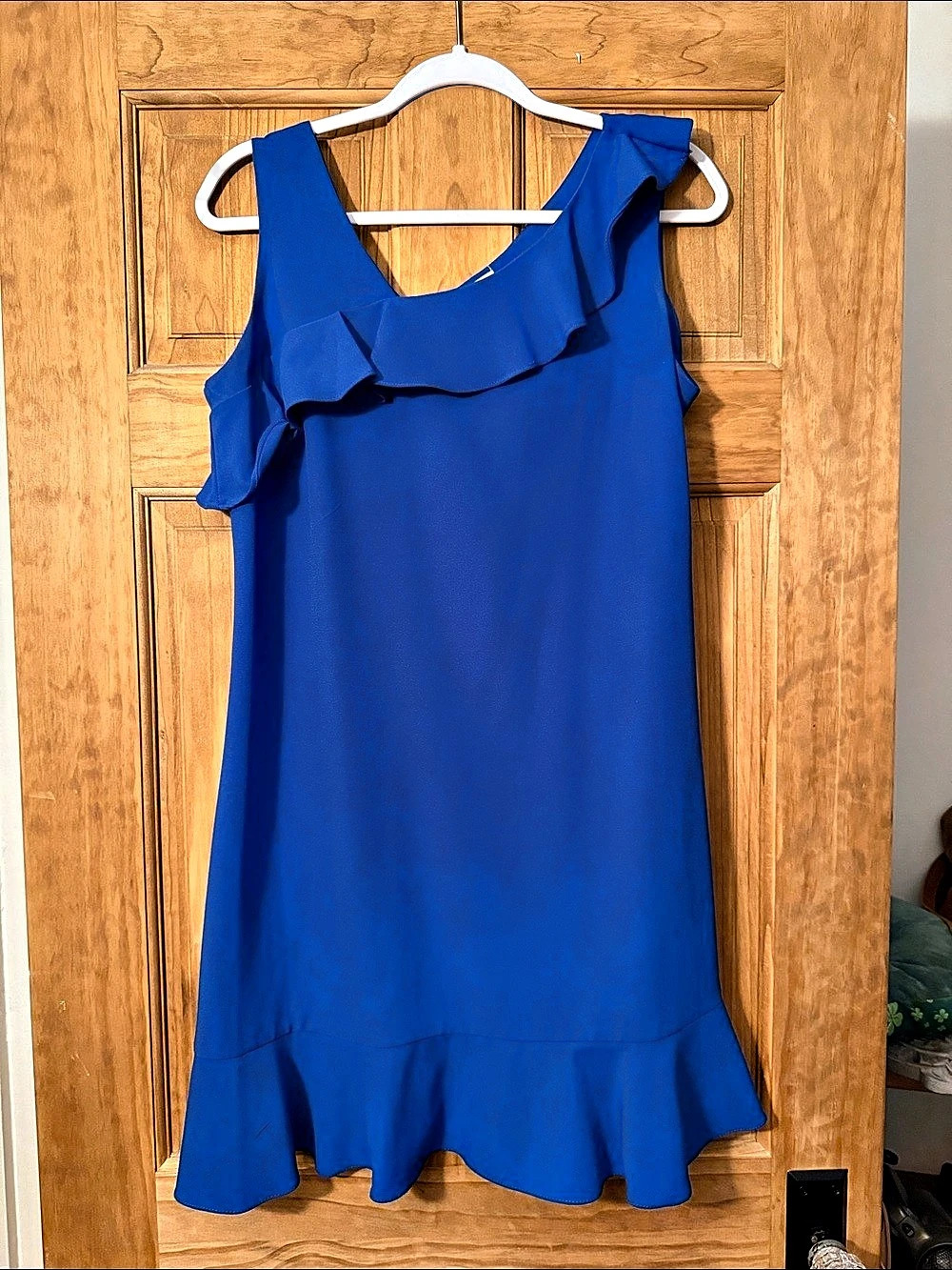 Blue Ruffle Mini Dress Like New - Picture 1 of 1